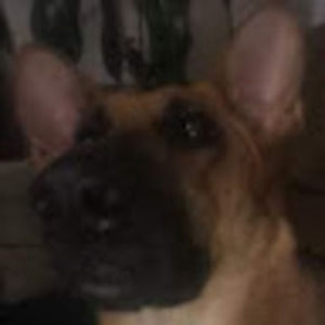 Meet your Posher, Autumn